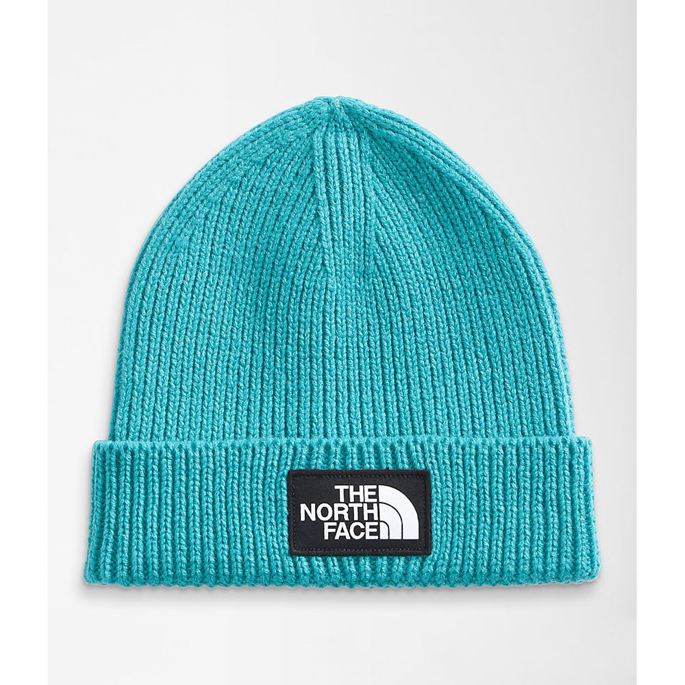 The North Face Beanies Youth Australia - The North Face Tnf™ Logo Box Cuffed Blue Ski (UHG-754890)